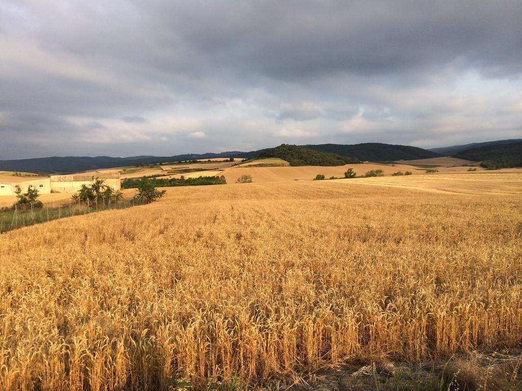Mihotelito Viloria de Rioja Zewnętrze zdjęcie